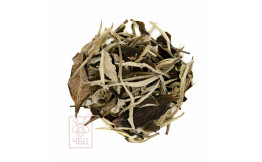 Юэ Гуанбай , Юньнань, весна 2025 г. 