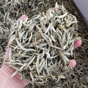 Белый чай. Отличия фудинских и юньнаньских Бай Ча