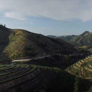 Южнофуцзяньские улуны. Хорошее настроение, Те Гуань Инь и не только