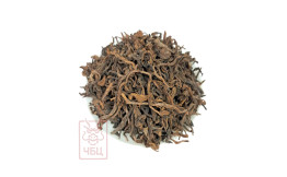 Паша Гушу Шу, 2023 г.